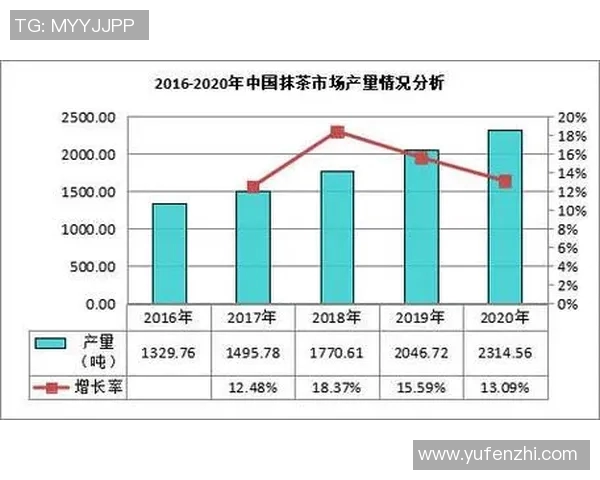 丹麦足球队的崛起之路与未来发展展望分析